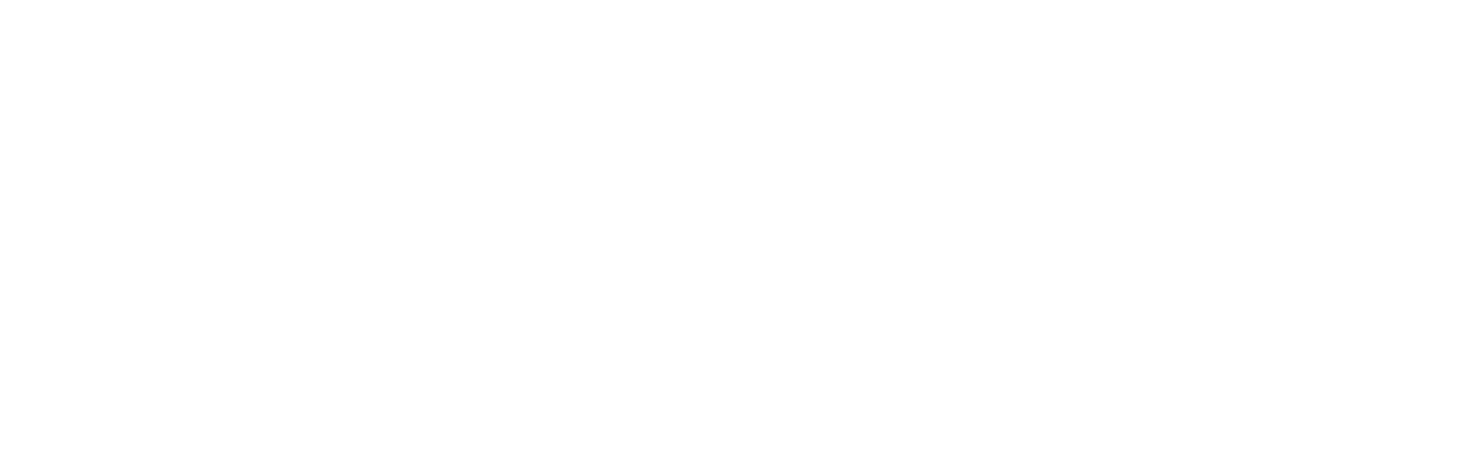Stacy Lash white logo