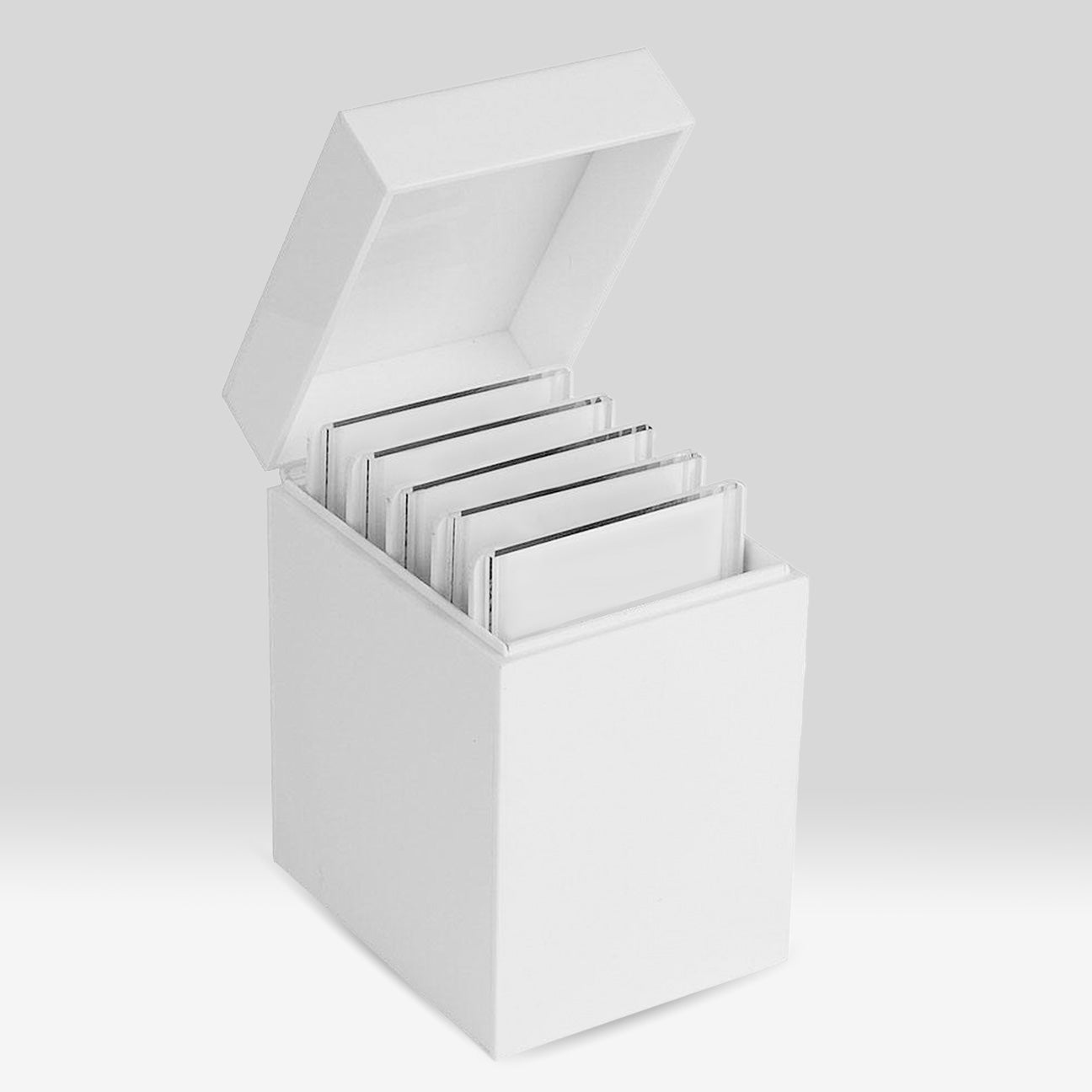 Storage Box for Lash Extension Palettes